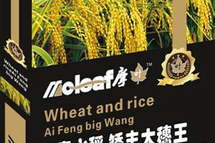 山东这些地名,你读对了吗？