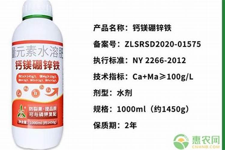 6月份露天适合种植什么蔬菜