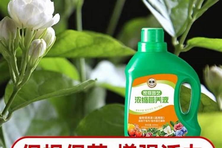 天然磷肥有哪些