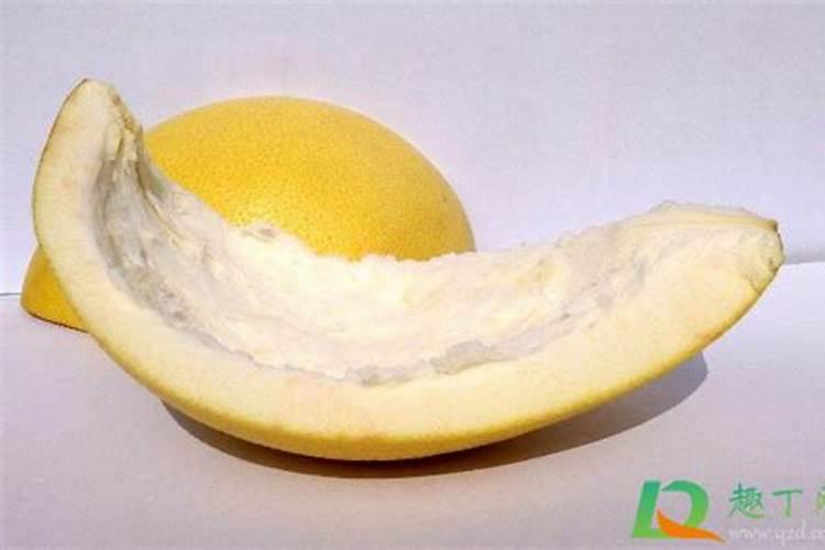 氮肥可以用什么代替