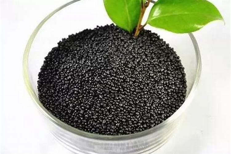 荔枝移栽多久生根发芽 荔枝移栽多久时间生根发芽