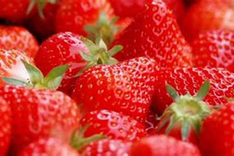 ...有人用羊粪做底肥,哪种肥料种出的红薯好吃？