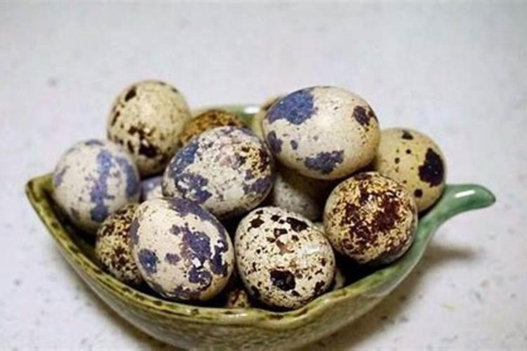 多肉植物除景天科还有什么