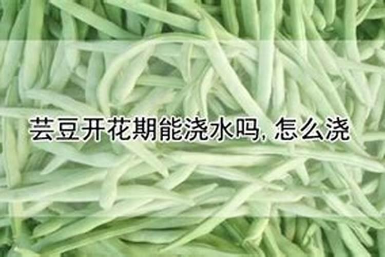 芸豆可以冲施磷酸二铵吗？
