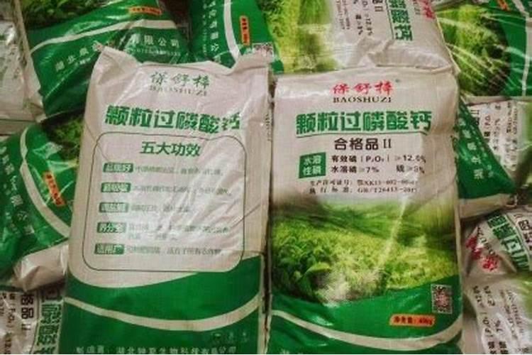 蛹虫草牡蛎钙的功效与作用 介绍它的三大功效