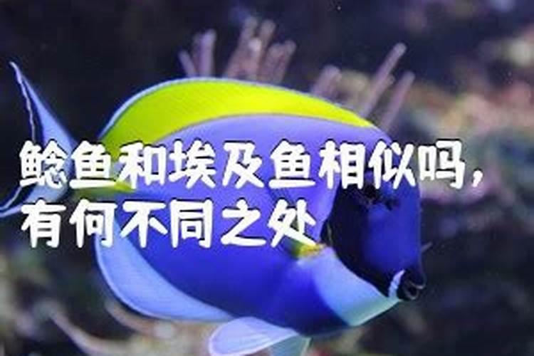鱼蛋白对植物的作用是什么？