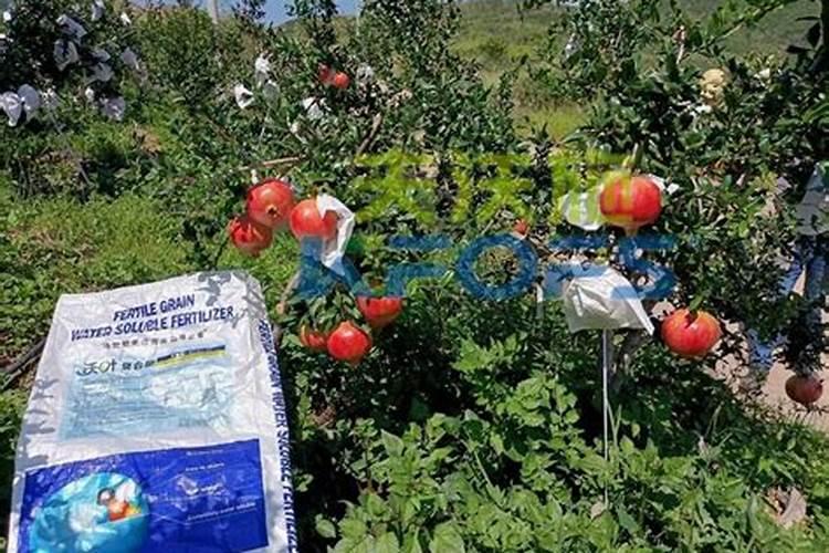 微量元素缺乏怎么补充