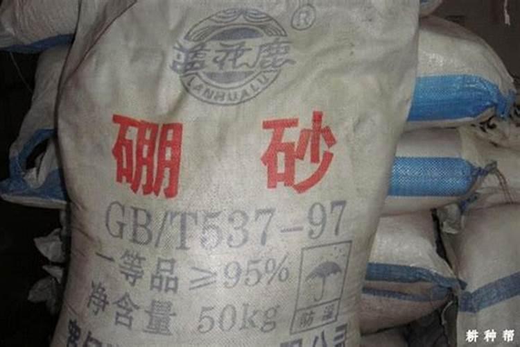 板栗树缺硼有哪些症状和补救措施？