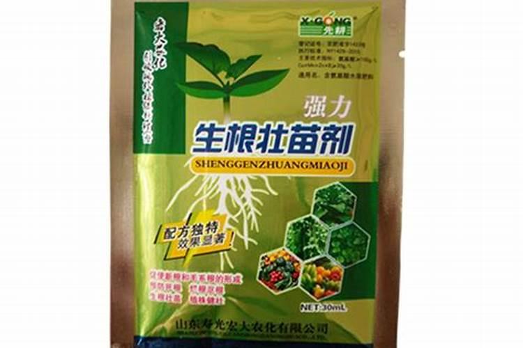 专家根线虫怎么治啊