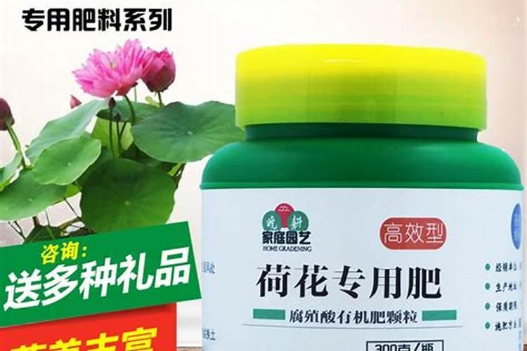 睡莲不开花有什么办法