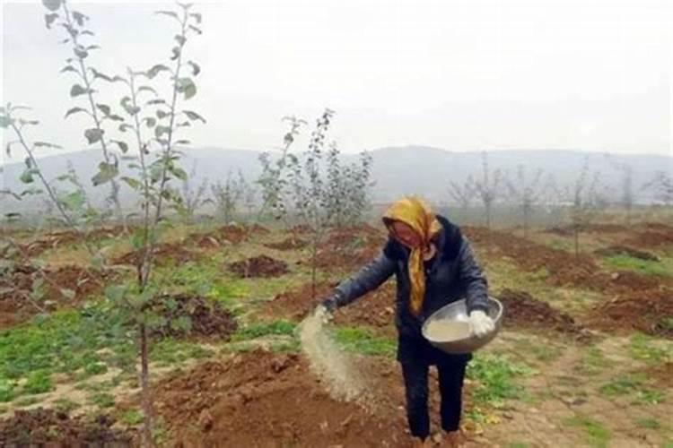 复合肥能直接撒吗