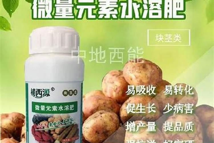 豆角到后期结的豆角短了有什么好办法改变吗？