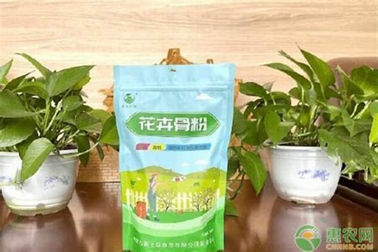 百香果能用磷酸二氢钾喷吗 这样用效果很不错!