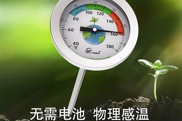 柿子树施肥最佳方法