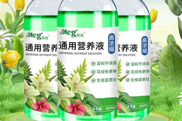 国内氨基酸水溶肥生产厂家有哪些？