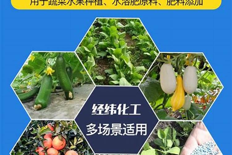 青岛明月蓝海生物科技有限公司明月海藻肥简介
