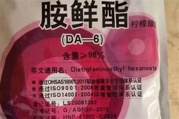 种的白菜不包心怎么办