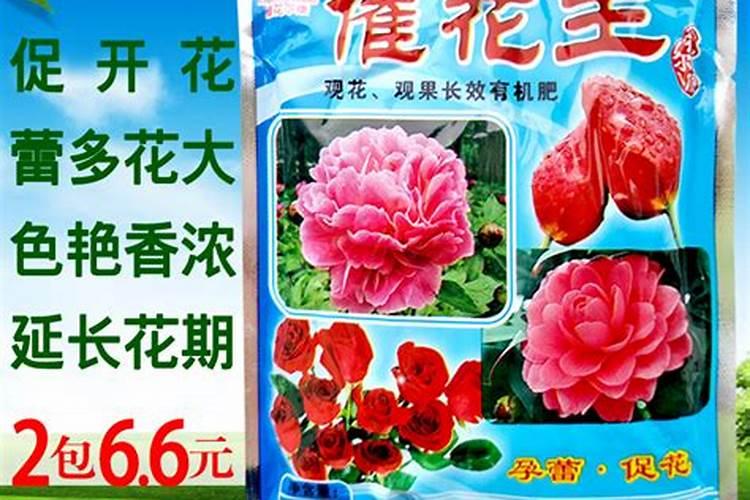 催花王和有机复合肥的使用