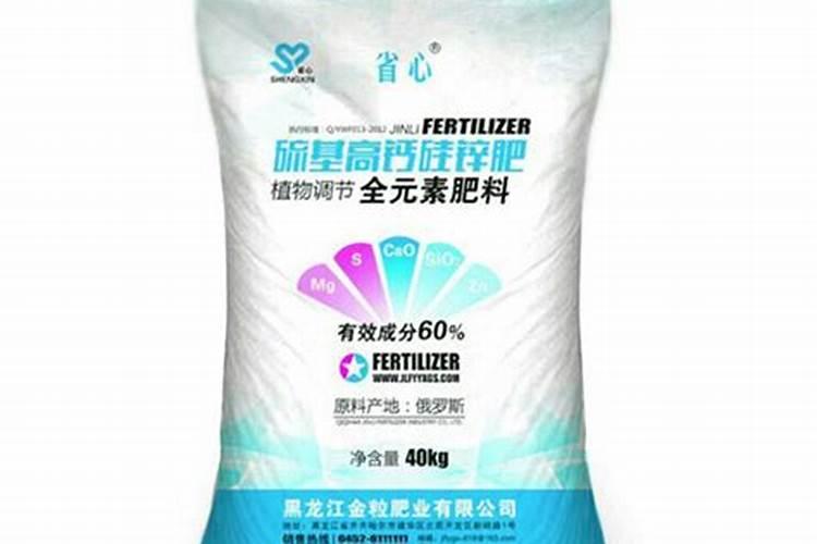 长寿花怎么养叶子才能又大又厚