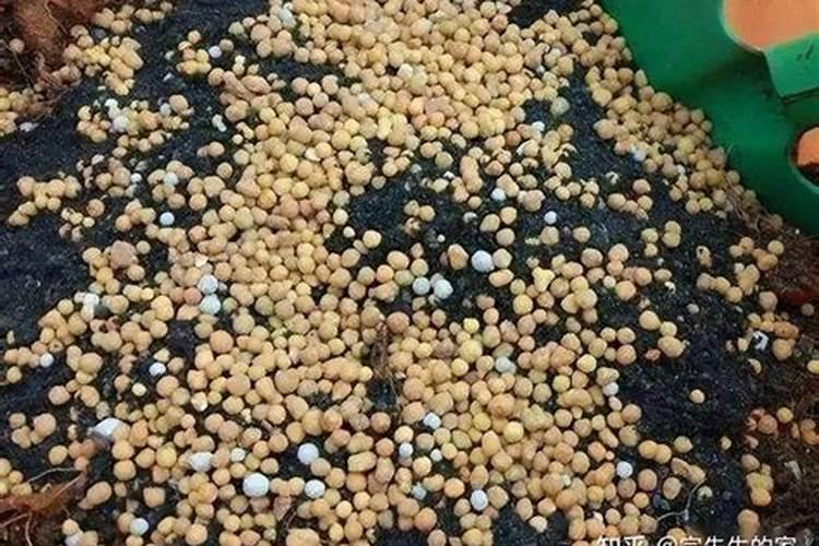 钾肥用作底肥集中施用于种油菜有益吗？