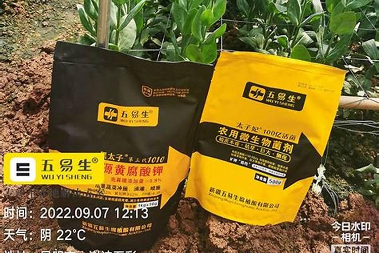 矿源黄腐酸钾入水后丝状好还是雾状好？
