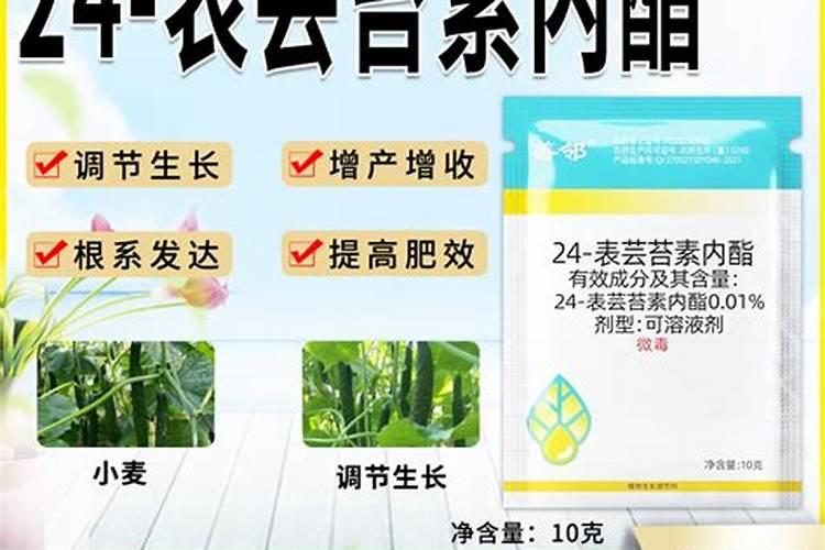 芸苔素内酯原药推荐个厂家,哪个厂家的好？