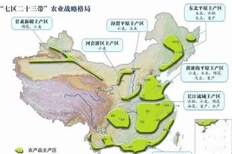 小麦专用肥的含量是什么样的