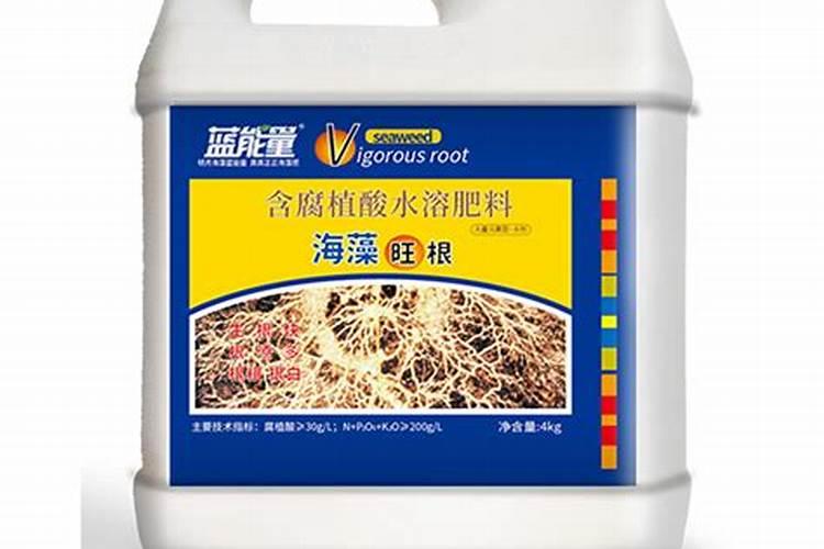 请教:蓝雨蓝莓栽培问题