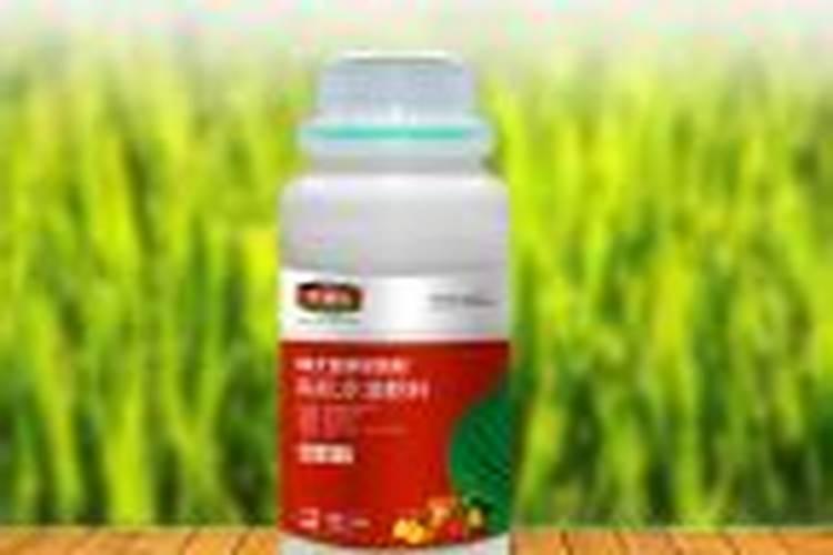 草皮种植用什么配方化肥
