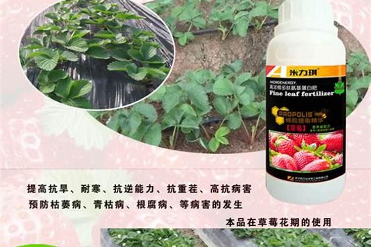 郑州田丰生化公司的牛奶肥用着怎么样？