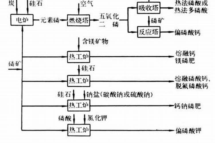 盆栽无花果用什么肥料最好