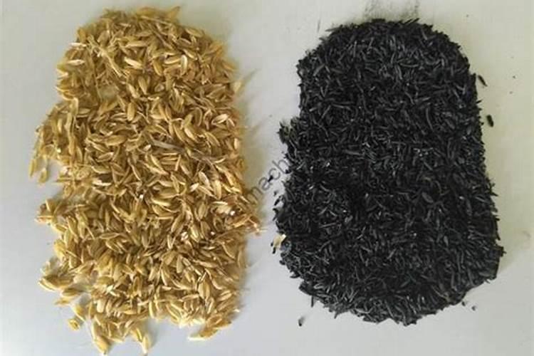 使用粗木屑养殖兰花小技巧,如何正确的去种植呢,一起？