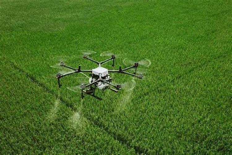 江西赣州天德生物科技有限公司怎么样？