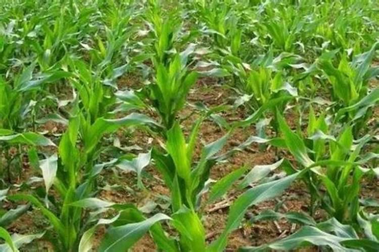 未来十年科技发展全景预测:颠覆性突破与文明重塑