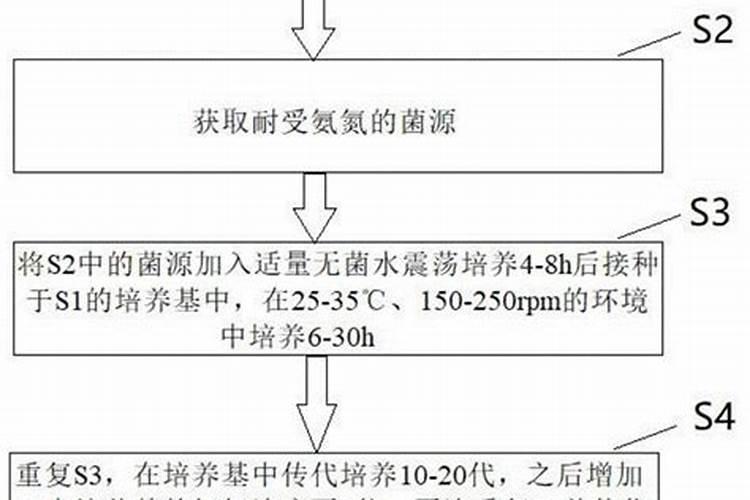 君子兰开花的时候应该上啥肥料