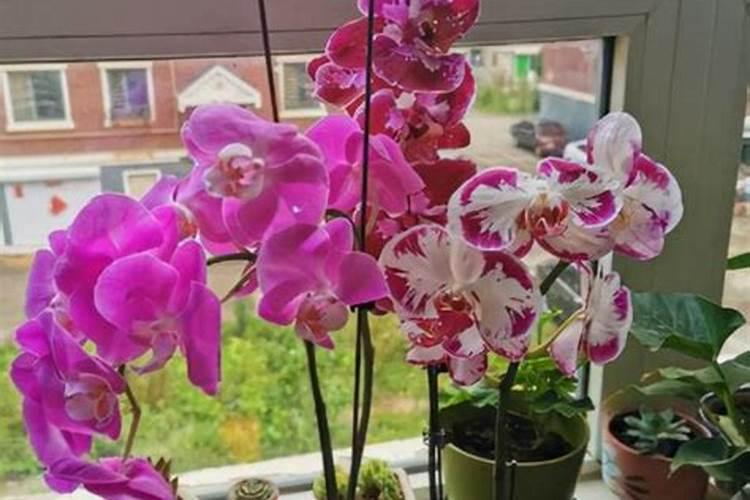 造化肥农药的厂子好干吗