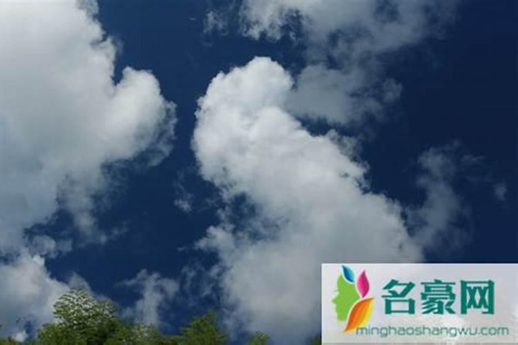 高温晴天能给草坪施肥吗
