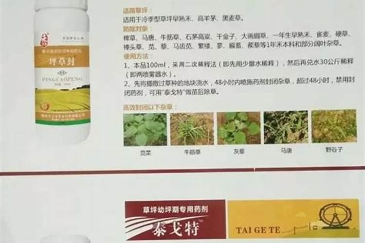 狗牙根草坪怎么施肥