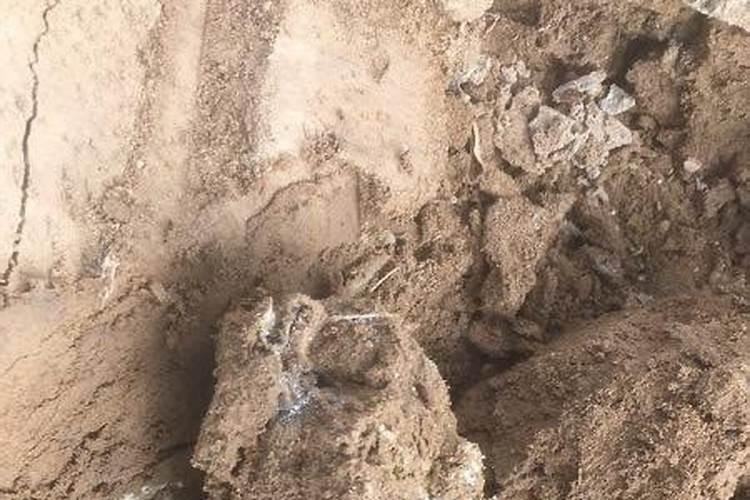 硼肥对蔬菜有什么作用？