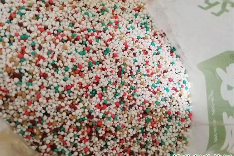 黑大头多大移栽