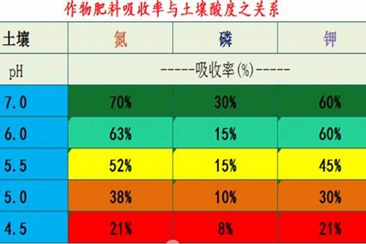 酸性土壤该使用什么肥料酸性土壤该使用什么肥料？