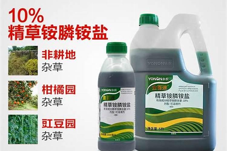 精草铵膦毛芋田除草会有药害吗？