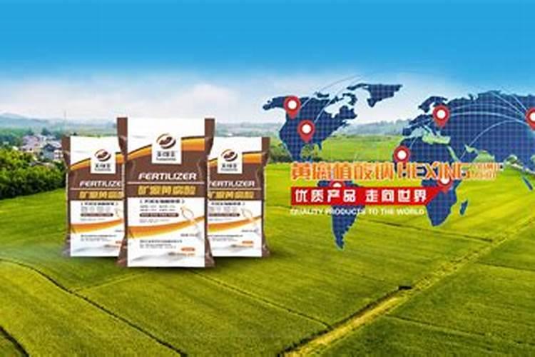 全国最大腐植酸生产厂家