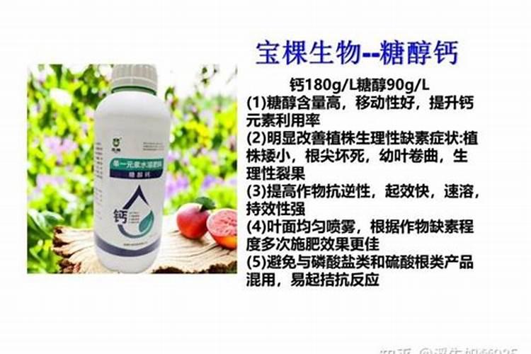 小麦灌浆水什么时候浇好