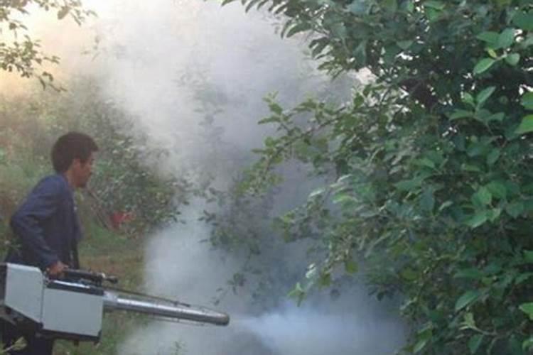 杜娟要开花怎样施肥？