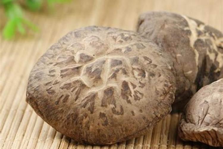 文竹用什么肥料最好 适合文竹的肥料及施肥注意事项