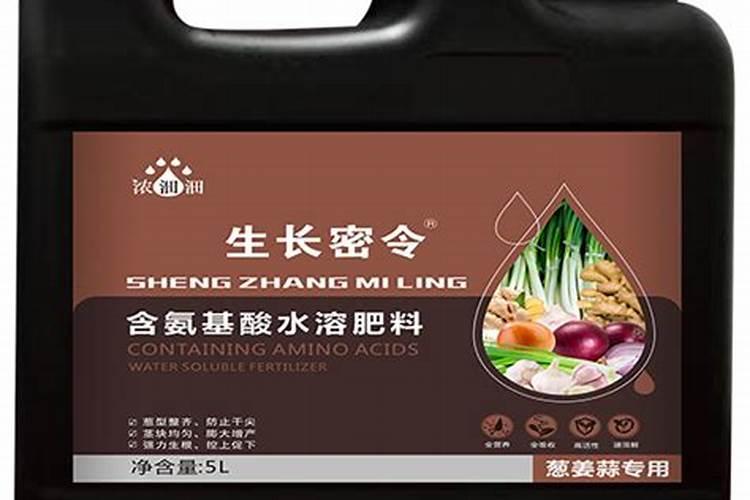 沙糖桔转色前打0.01%羟基芸苔素