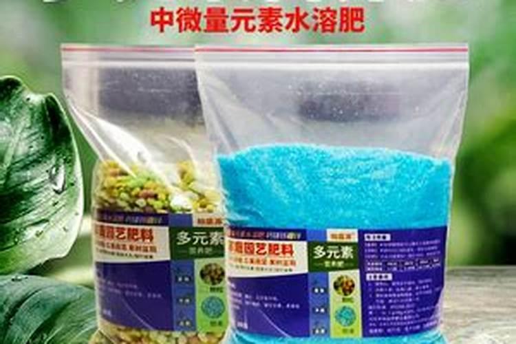 什么可以作为花的肥料,月季花最好的肥料