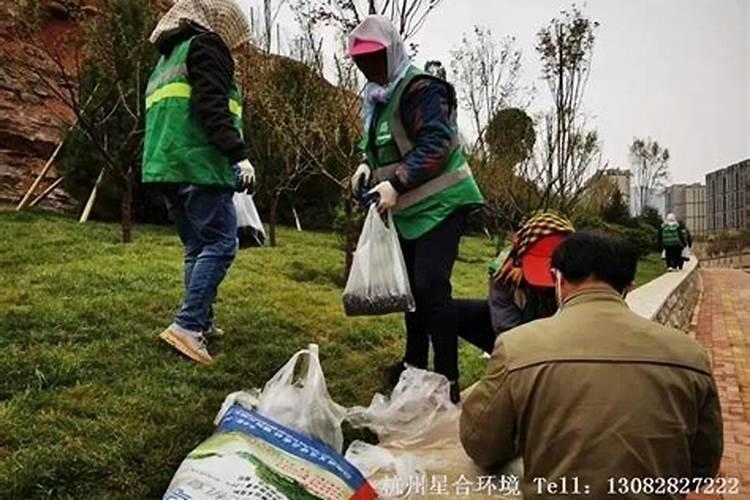草坪需要什么肥料