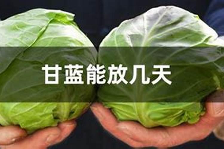 羽衣甘蓝什么时候播种 羽衣甘蓝的肥料要求